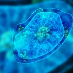 Zagrożenie ukryte w wodzie? "Konie trojańskie" przenoszą wirusy