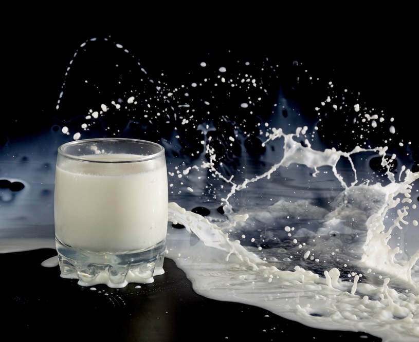 Zainteresowanie mlekiem oślim będzie rosło, nie tylko wśród badaczy, ale również samych konsumentów. /123RF/PICSEL