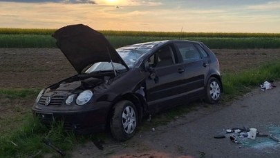 Zając przyczyną dachowania. Niecodzienna sytuacja na Lubelszczyźnie