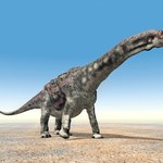 Zajrzeli do żołądka wielkiego dinozaura. Pierwszy raz wiemy, co jadł