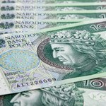 Zajrzyj w portfel, szukają takiego banknotu. Płacą siedmiokrotność wartości