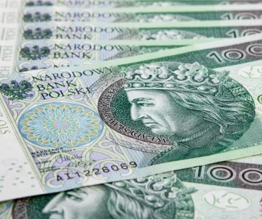 Zajrzyj w portfel, szukają takiego banknotu. Płacą siedmiokrotność wartości