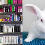 Zakaz ekościemy i testów na zwierzętach. UE bierze się za kosmetyki