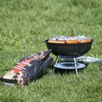 Zakaz grillowania w niemieckich miastach. Za złamanie grożą wysokie kary