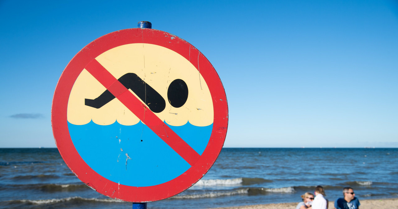 Zakaz kąpieli z powodu zakwitu sinic to coraz częstszy widok nad Bałtykiem /Wojciech Strozyk/REPORTER /Reporter