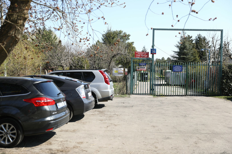 Zakaz naprawiania i mycia pojazdów mechanicznych obowiązuje też na wyznaczonych miejsca do parkowania na terenie ROD /Piotr Molecki/East News /East News