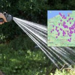 Zakaz podlewania ogródków w kolejnych gminach. Tylko trzy województwa bez ograniczeń