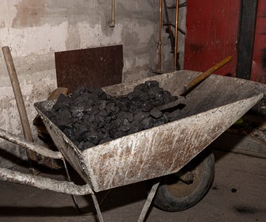 Zakaz sprzedaży niektórych rodzajów węgla już za rogiem. Koniec z "ekologicznym" miałem