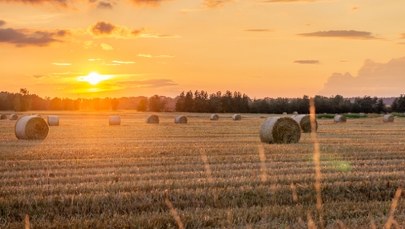 Zakaz sprzedaży państwowej ziemi rolnej wydłużony. Jest decyzja Sejmu