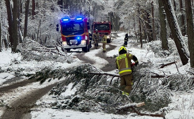 Zakaz wejścia do Słowińskiego Parku Narodowego. Bardzo niebezpiecznie