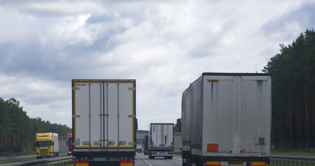 Zakaz wyprzedzania przez samochody ciężarowe. Wyjaśniamy, w jakich sytuacjach można wyprzedzać ciężarówką innych uczestników ruchu. /Wojciech Stróżyk /Reporter