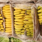 Zakazana substancja w bananach. W dyskontach znaleźli proszek za 7 mln euro