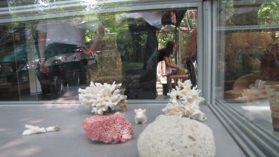 Zakazane pamiątki z wakacji