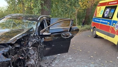 Zakleszczeni w autach ludzie. Groźny wypadek w Lubuskiem