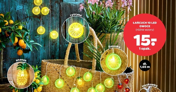 Zakochasz się w tej kolekcji! Owocowe cuda do domu w Netto czekają na półkach /Netto /INTERIA.PL