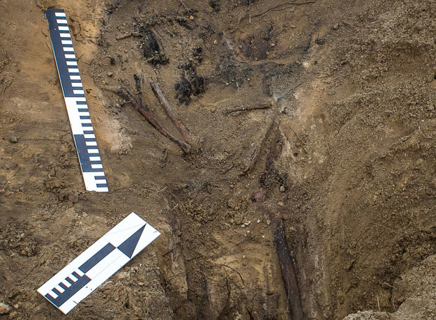 Zakończyła się ekshumacja szczątków czerwonoarmistów w Nowym Sączu (zdjęcie ilustracyjne) /Wojtek Radwański /AFP
