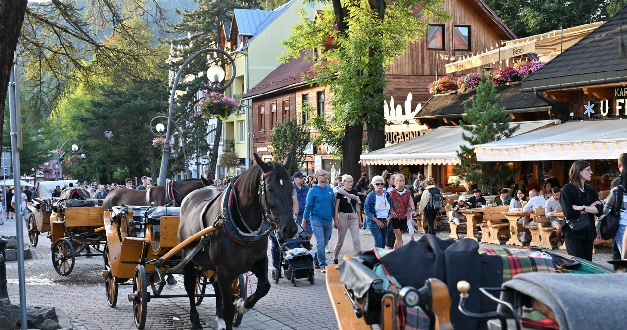 Zakopane chce wprowadzenia nowej opłaty. "To rekompensata za eksploatację" /Pawel Murzyn/East News /East News