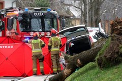 Zakopane: Drzewo przewróciło się na jadący samochód. Zginęła młoda kobieta