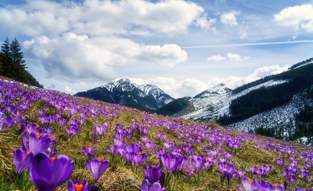 Zakopane i Kościelisko zmieniają opłatę miejscową. Sprawdź, ile zapłacisz