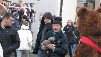 Zakopane: Mimo zakazu handel psami na Krupówkach kwitnie
