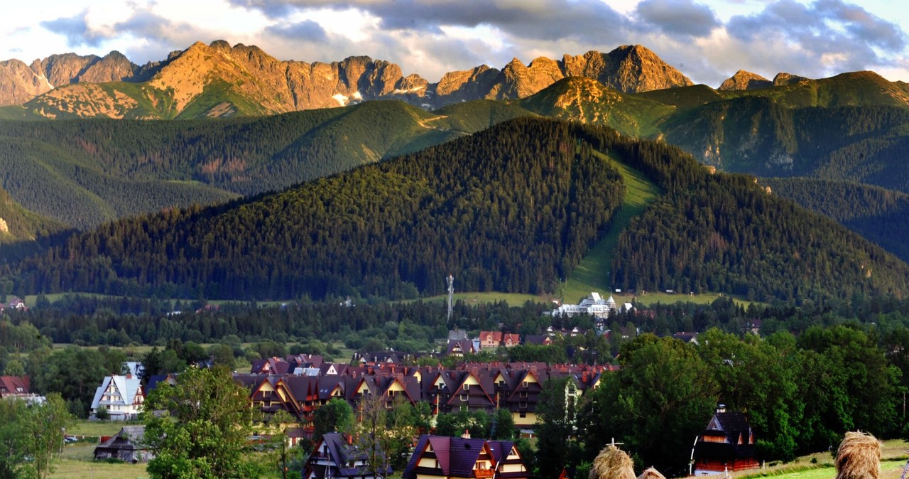 Zakopane, Nosal, Bachledzki Wierch. Zdjęcie ilustracyjne /Adrian Gladecki/REPORTER /East News