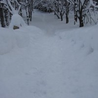 Śnieg całkowicie przykrył trasy wycieczkowe w Tatrzańskim Parku Narodowym