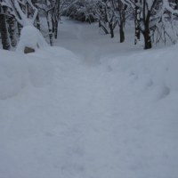 Śnieg całkowicie przykrył trasy wycieczkowe w Tatrzańskim Parku Narodowym