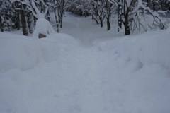 Zakopane pod śniegiem