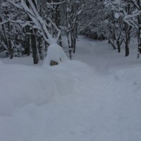 Śnieg całkowicie przykrył trasy wycieczkowe w Tatrzańskim Parku Narodowym