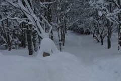 Zakopane pod śniegiem