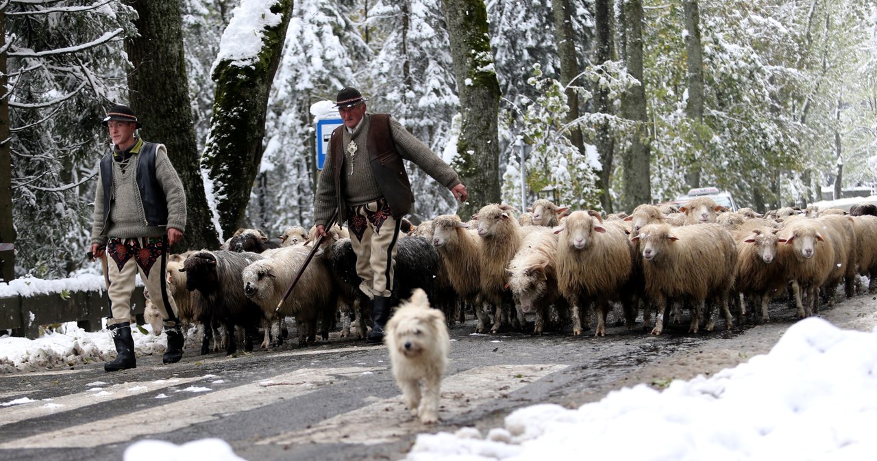 Zakopane przykryte śniegiem