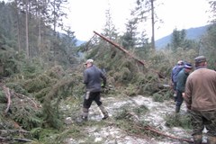 Zakopane sprząta po halnym