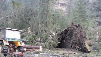 Zakopane sprząta po halnym