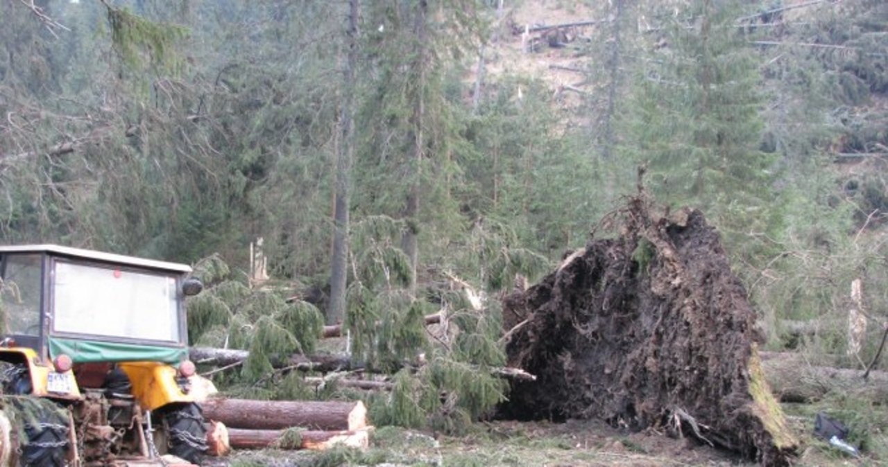 Zakopane sprząta po halnym