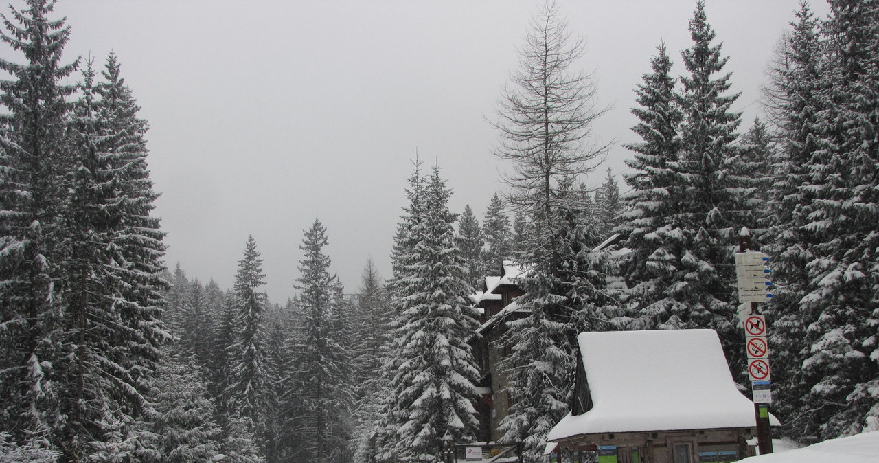 Zakopane w białej szacie, TOPR ogłosił zagrożenie lawinowe