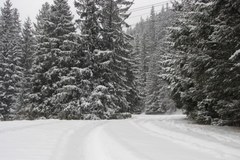 Zakopane w białej szacie, TOPR ogłosił zagrożenie lawinowe