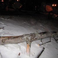 Zakopane zdemolowane przez wichury