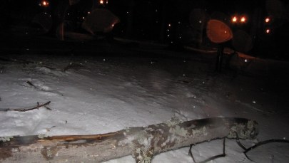 Zakopane zdemolowane przez wichury