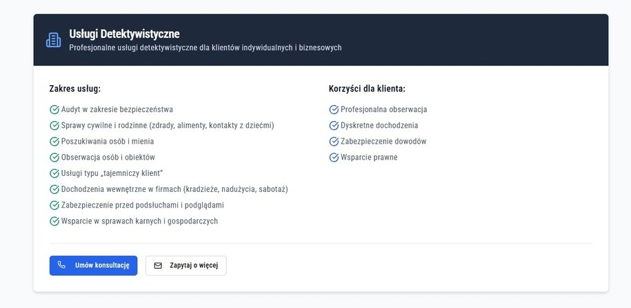 Zakres usług proponowanych przez firmę /Zrzut ekranu