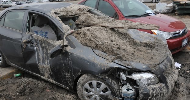 Zakup aut, które ucierpiały w huraganie, może być dla handlarzy nie lada okazją. /Shutterstock