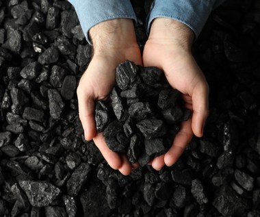 Zakup węgla online "w korzystnej cenie"? To może być oszustwo