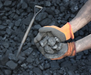 Zakup węgla: Proces wyboru kwalifikowanych dostawców ukończony w 80 proc.