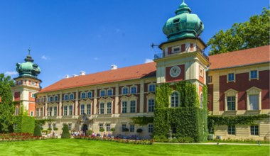 Zakwitła tam cuchnąca roślina. Smocza lilia przyciąga turystów na zamek w Łańcucie