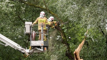 Załamanie pogody: Drzewo zwaliło się na przystanek, setki zgłoszeń z całego kraju