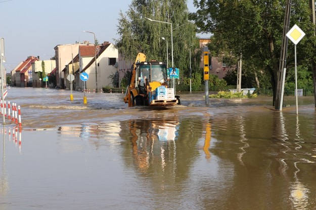 Zalana Skorogoszcz /Józef Polewka /RMF FM