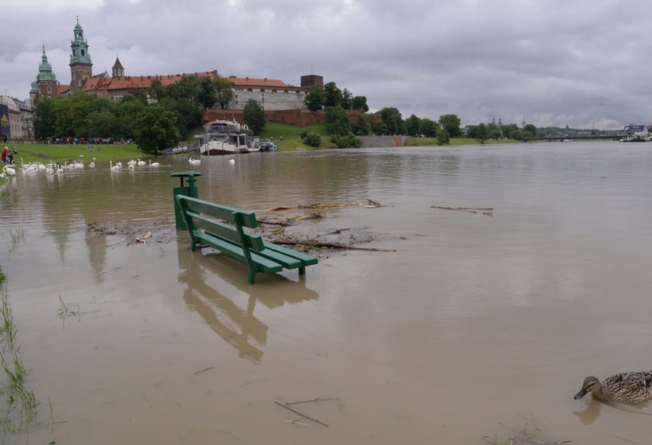 Zalane bulwary w Krakowie, 2014 rok. /Jacek Bednarczyk /PAP