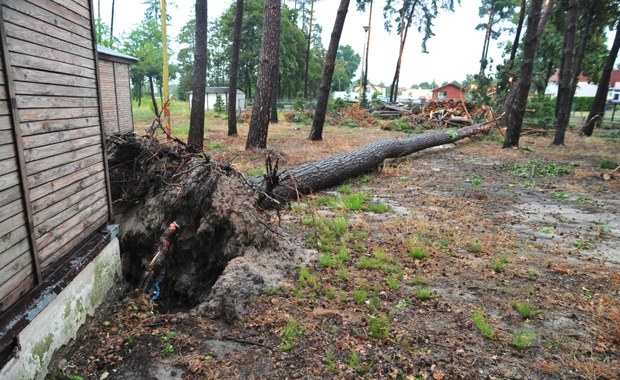 Zalane domy, połamane drzewa. Ponad 1300 interwencji po burzach