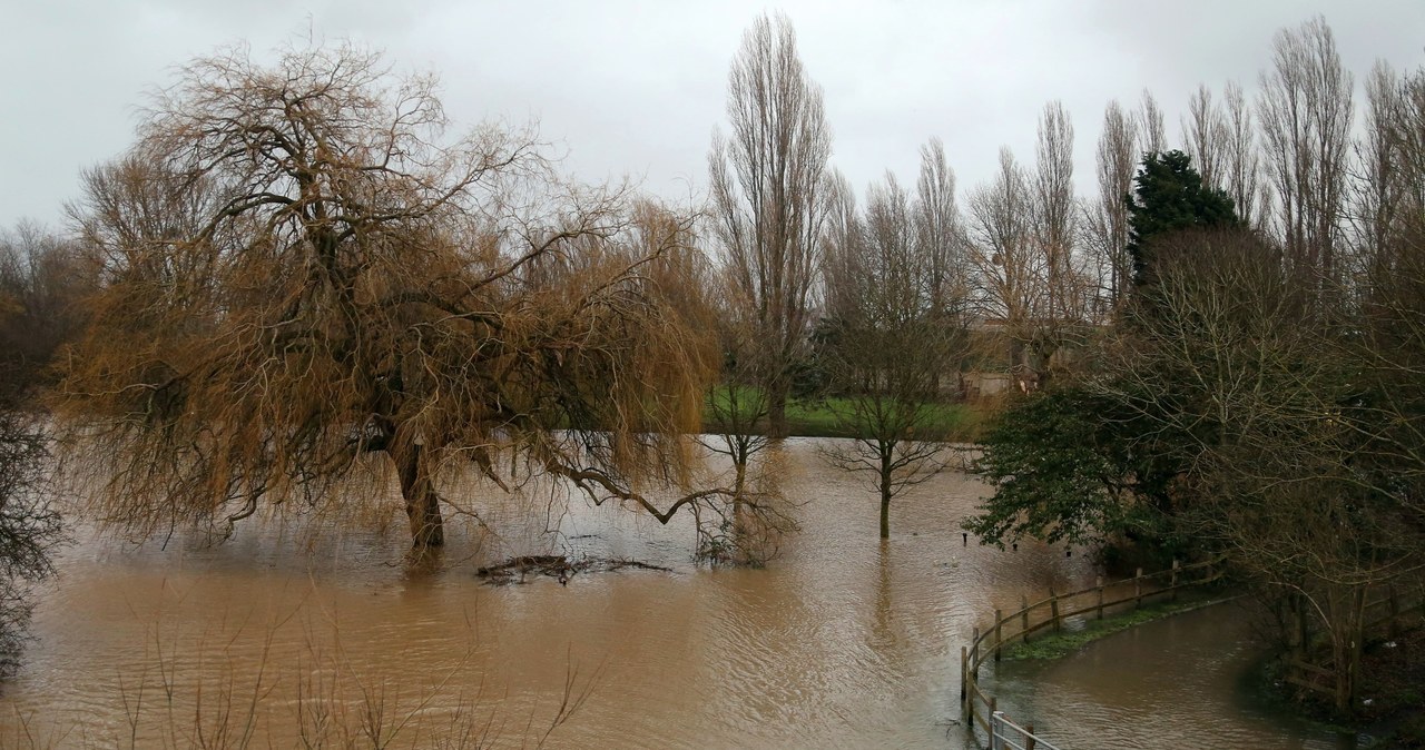 Zalane Gloucester /AFP