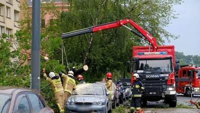 Zalane piwnice, przewrócone drzewa. 1824 interwencje straży po burzach