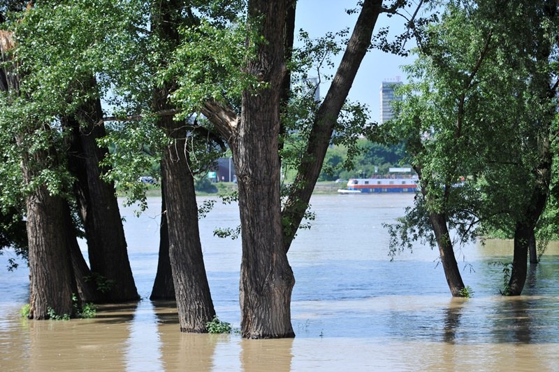 Zalane tereny nadrzeczne w pobliżu Mostu Poniatowskiego w Warszawie /Bartłomiej Zborowski /PAP